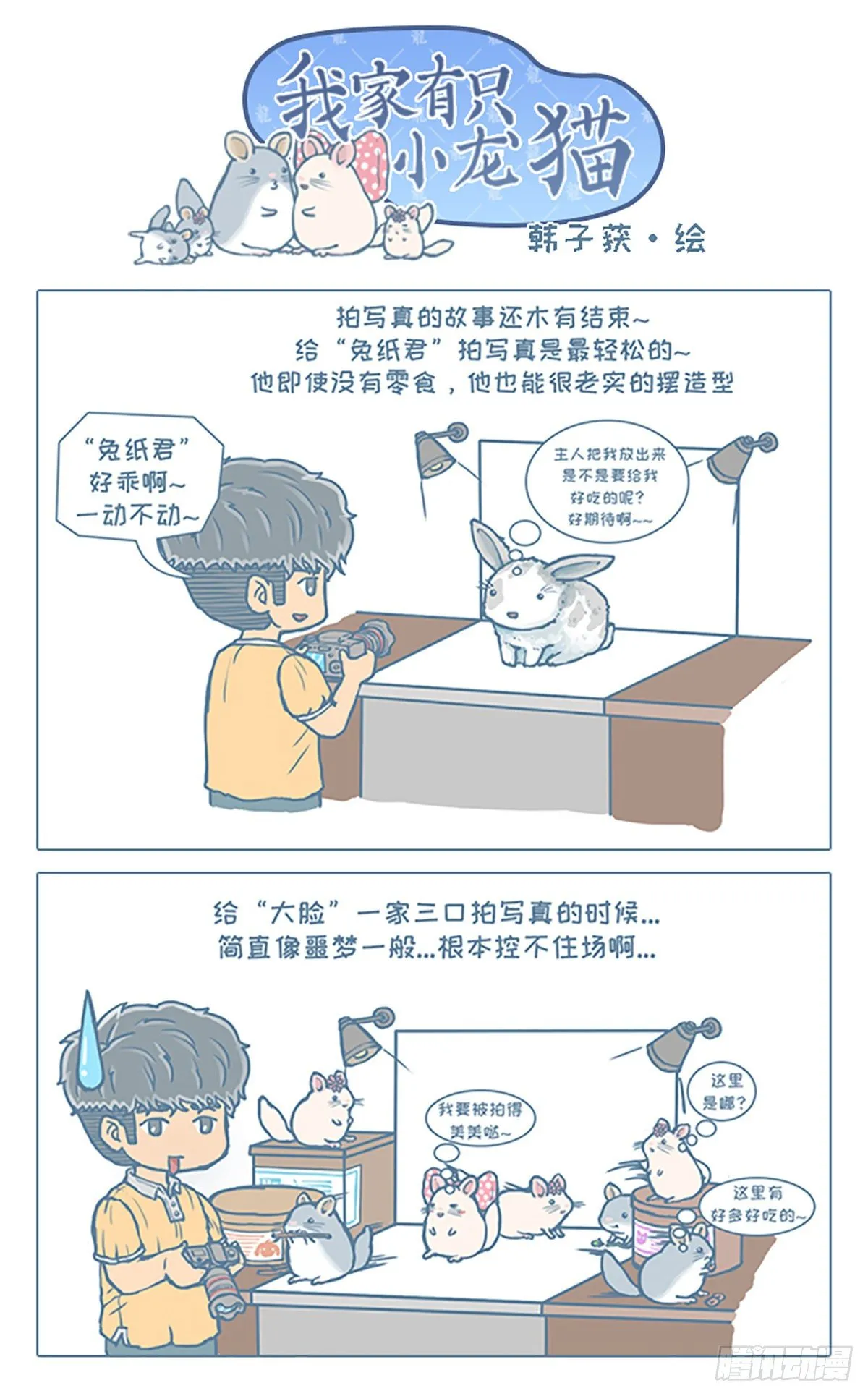我家有只小龙猫漫画,第68个小故事1图