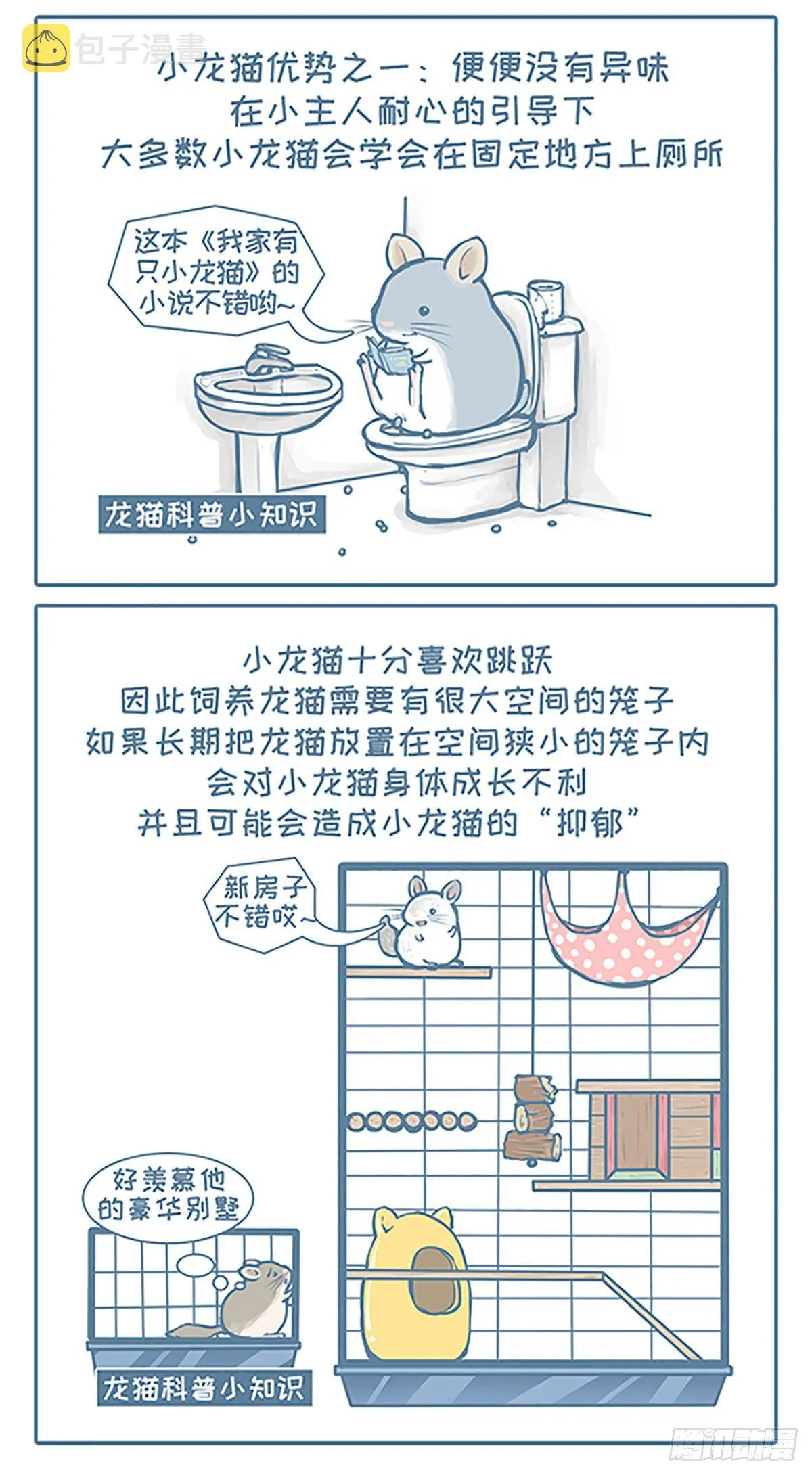我家有只小龙猫漫画,第101个小故事2图
