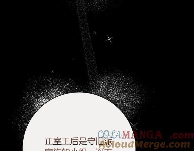 第222话 使团随行王子4