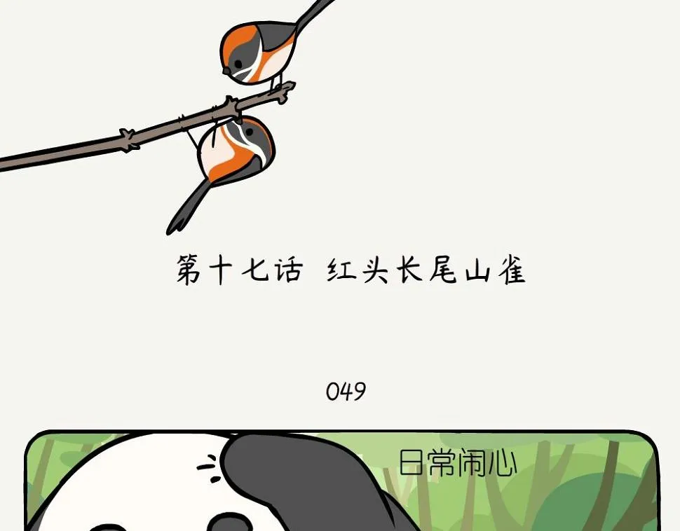 竹鼠和竹熊漫画,第17话 红头长尾山雀2图
