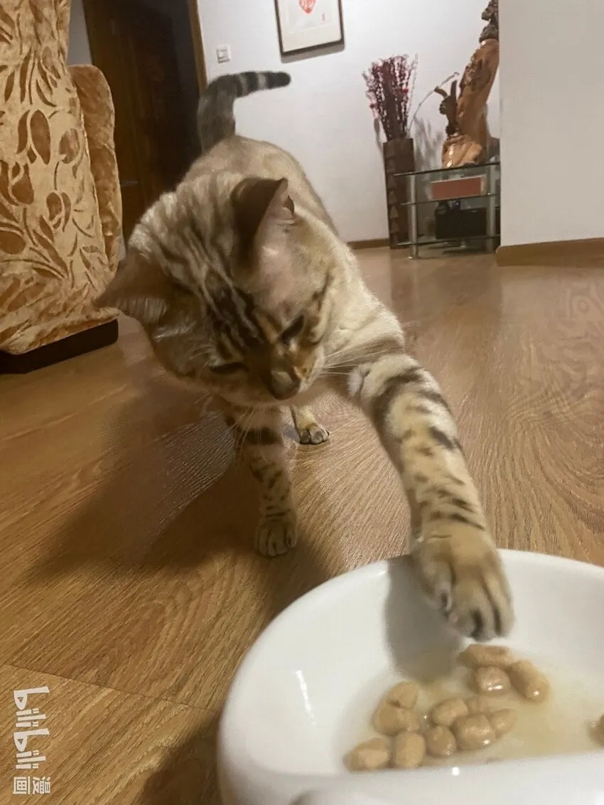 监守被盗漫画,041 我想和你十指相扣1图