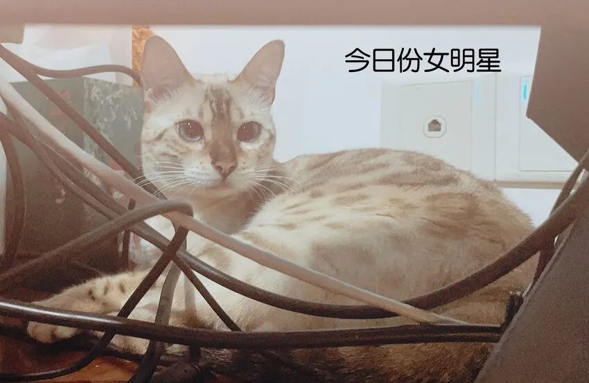 监守被盗漫画,015 他的温柔，令我忍不住想要靠近1图