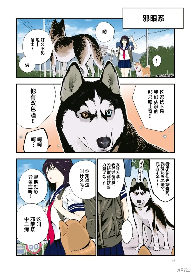 世界末日柴犬为伴贴吧漫画,第40话4图