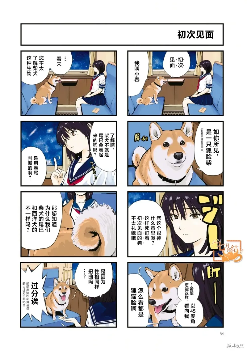 世界末日柴犬为伴贴吧漫画,第39话2图