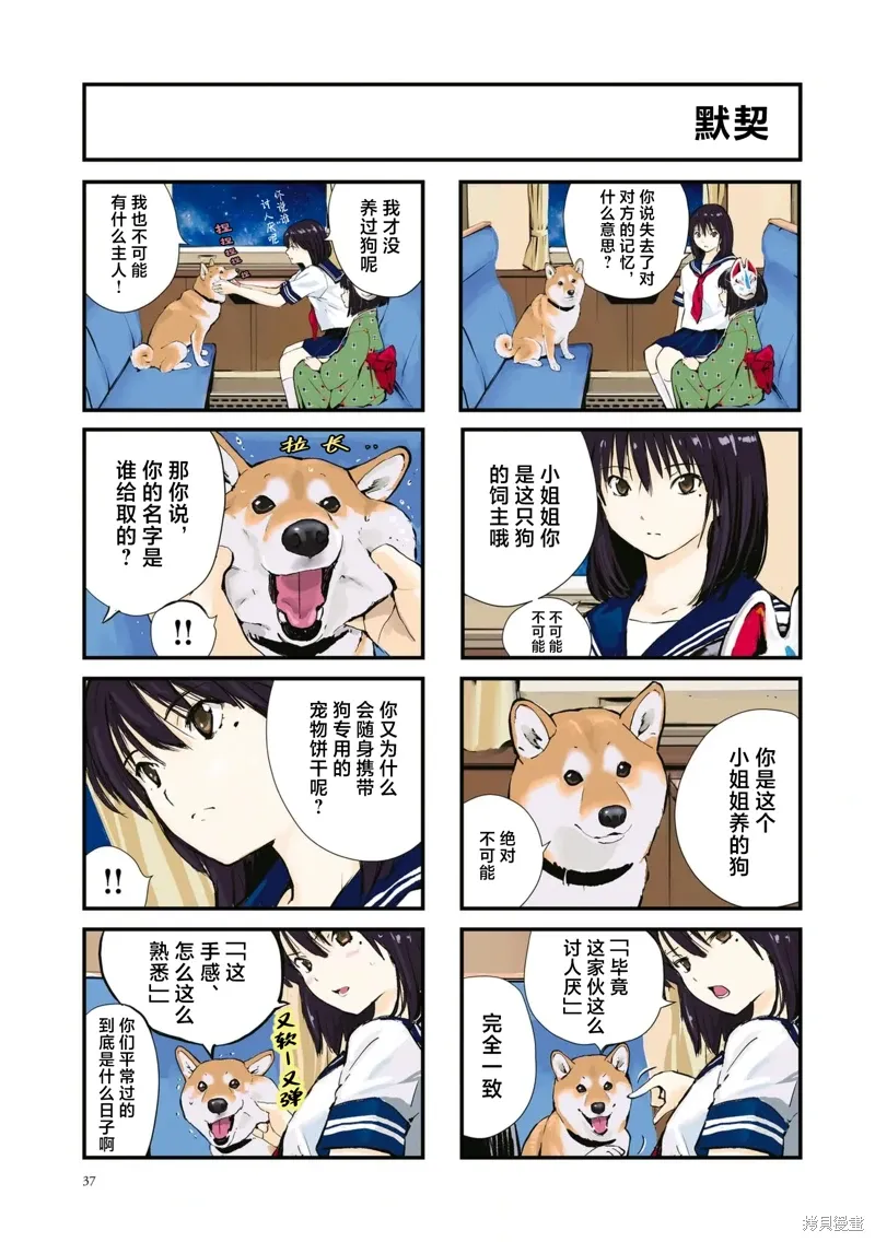 世界末日柴犬为伴贴吧漫画,第39话5图