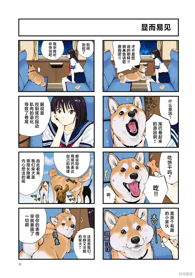 世界末日柴犬为伴贴吧漫画,第39话3图