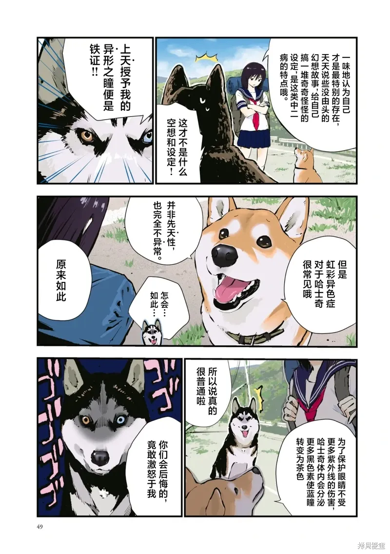 世界末日柴犬为伴贴吧漫画,第40话5图