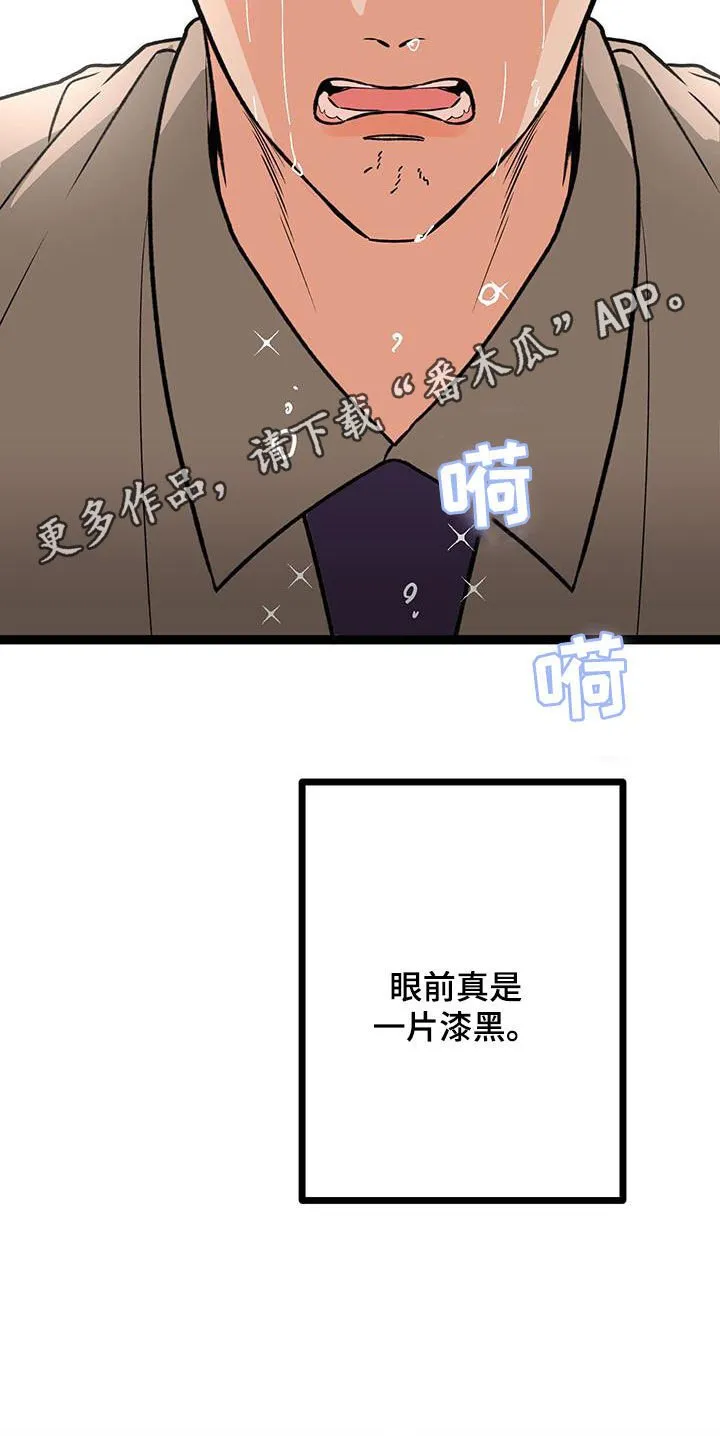 诅咒之岛下载教程漫画,第104章：【番外】珍惜眼前2图
