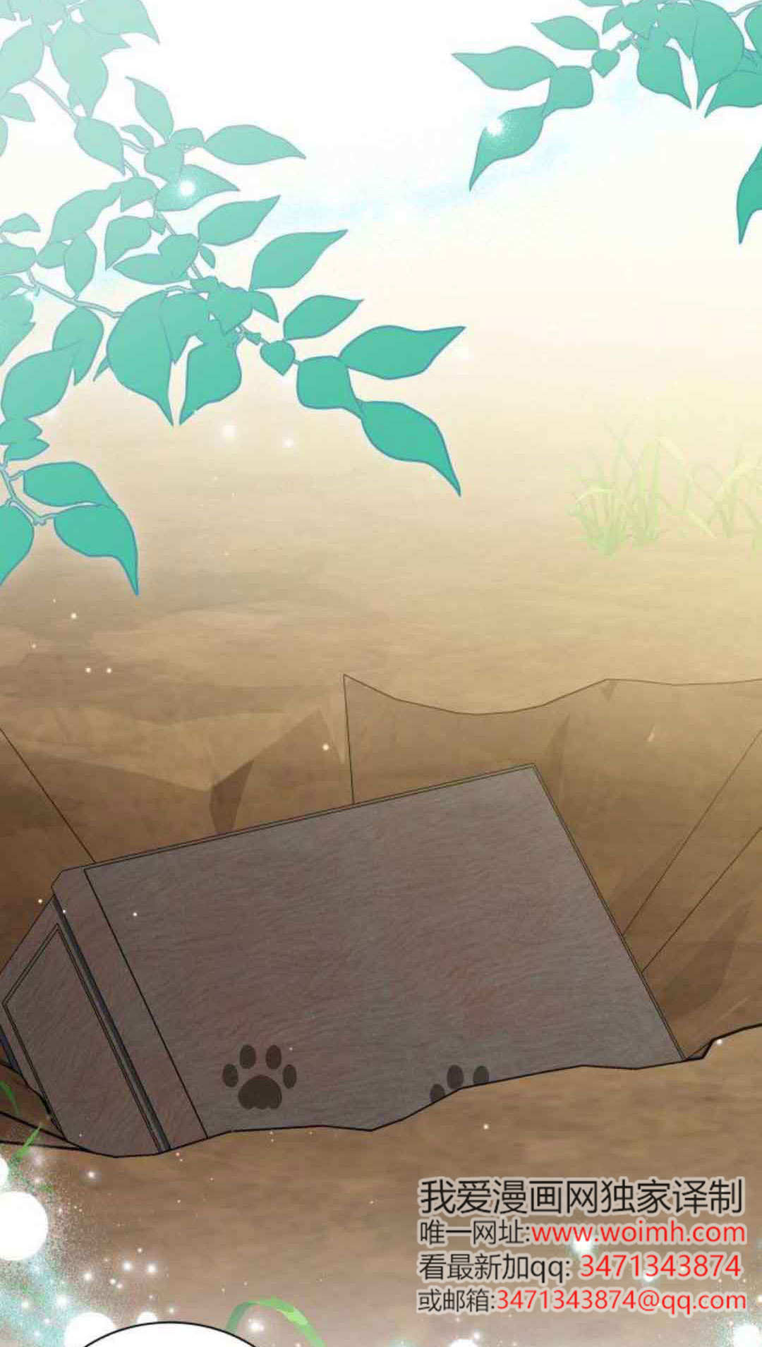 明明是猫，却被狼族收养了？漫画,第76话2图