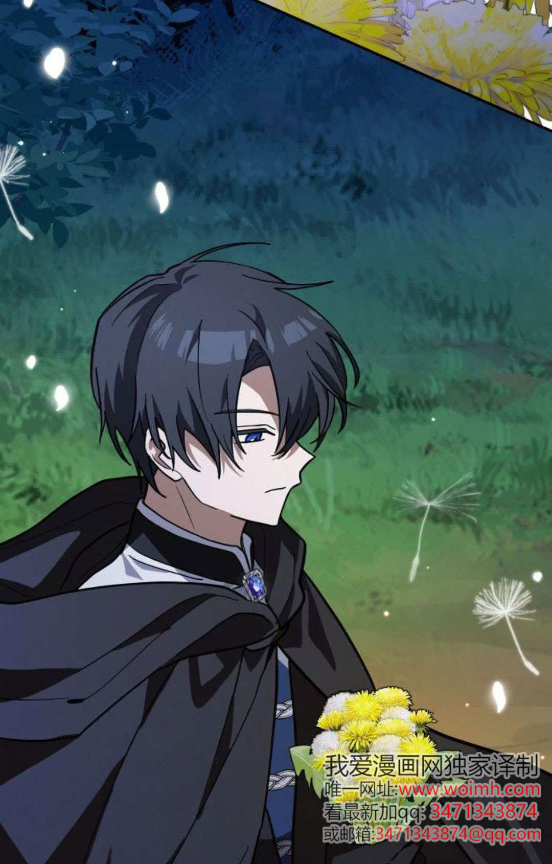 明明是猫，却被狼族收养了？漫画,第74话2图