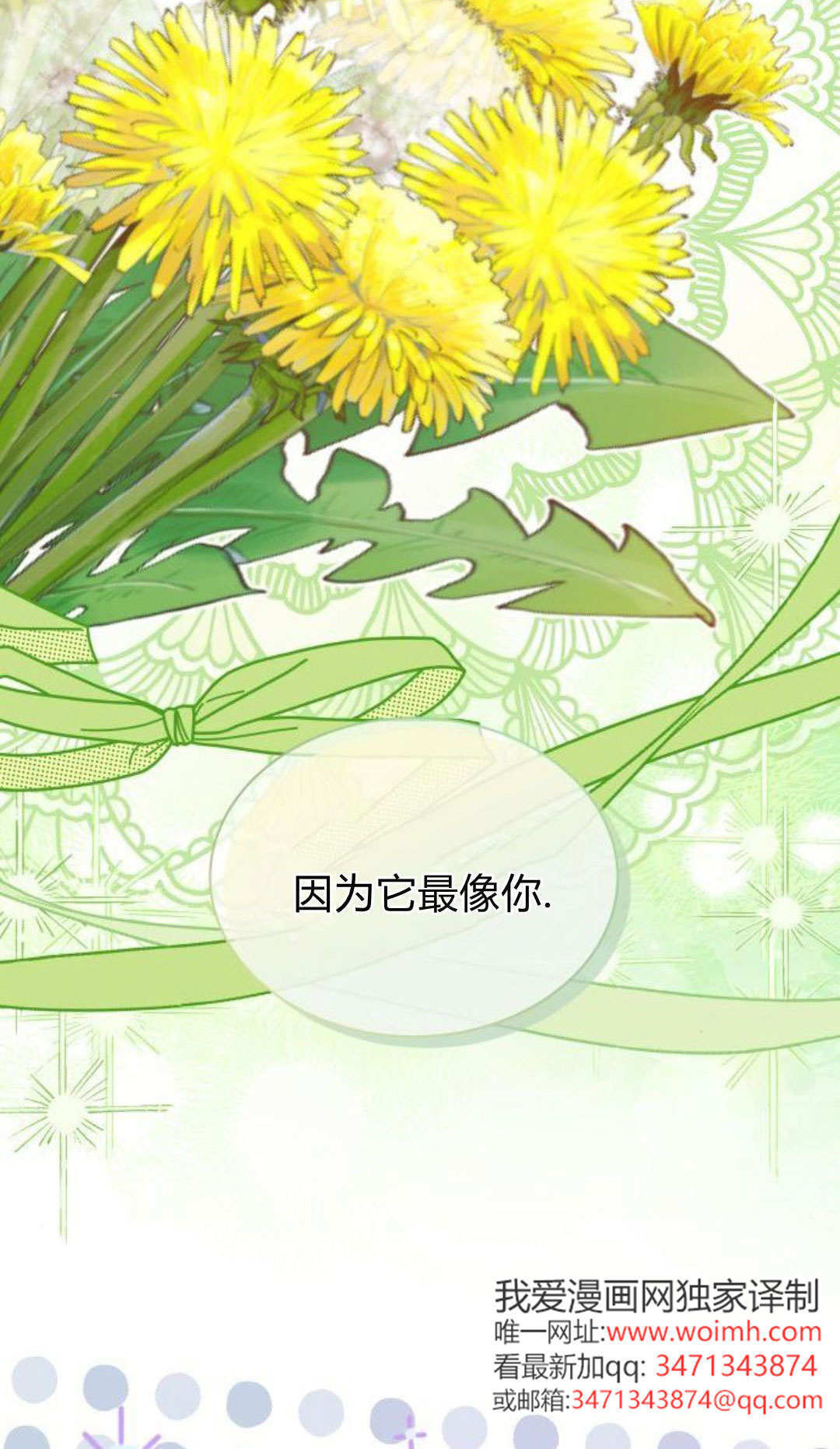 明明是猫，却被狼族收养了？漫画,第74话1图