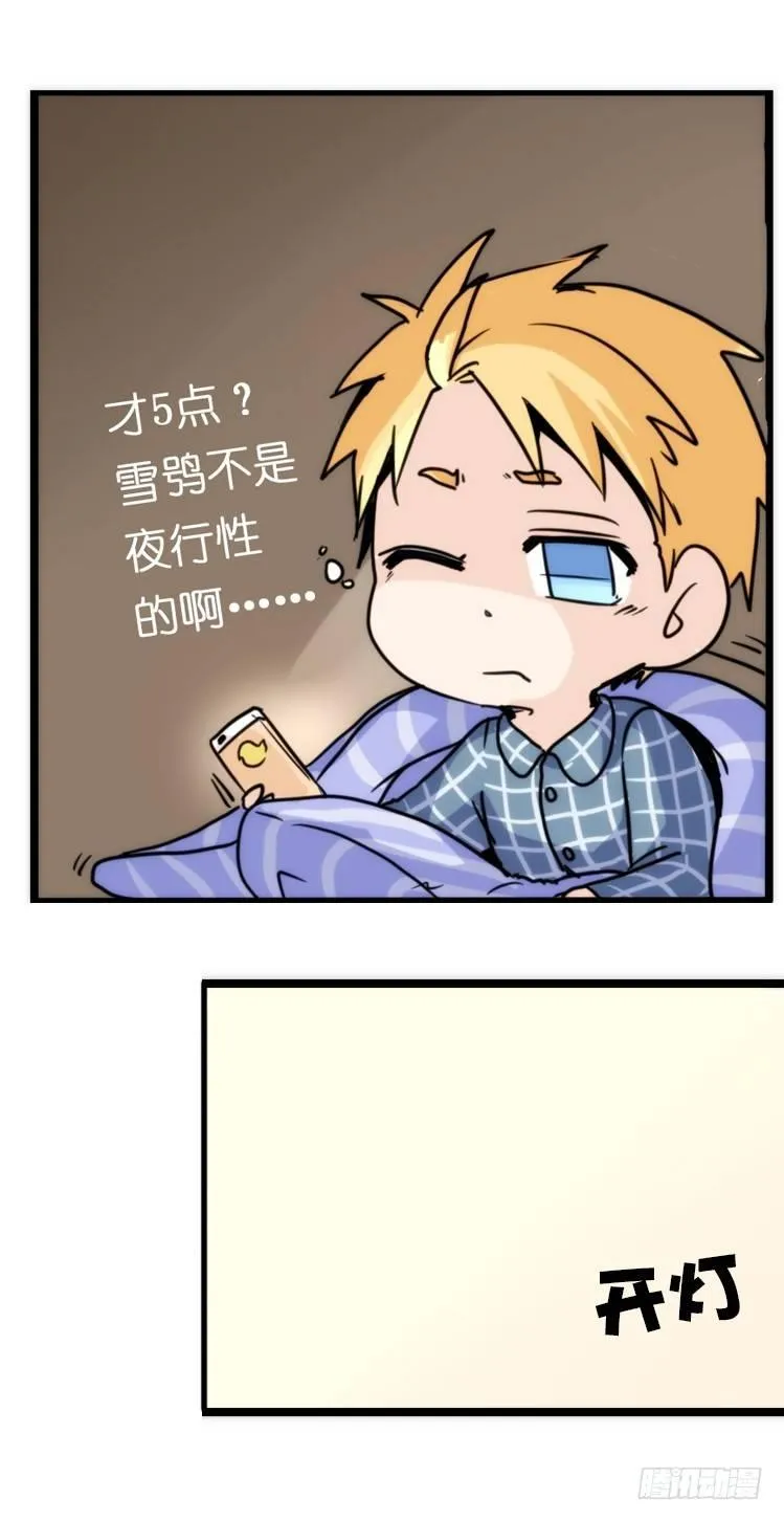 金华至江西望仙谷旅游攻略漫画,飞吧小少爷：去兜风么？3图