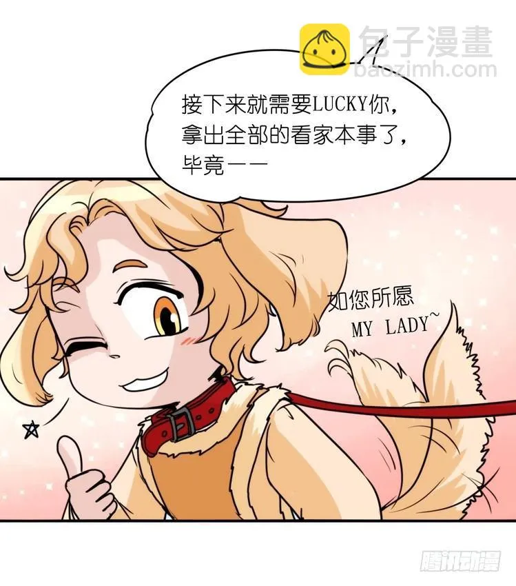 金华至江西望仙谷旅游攻略漫画,家有鹅霸：拯救大兵红隼5图