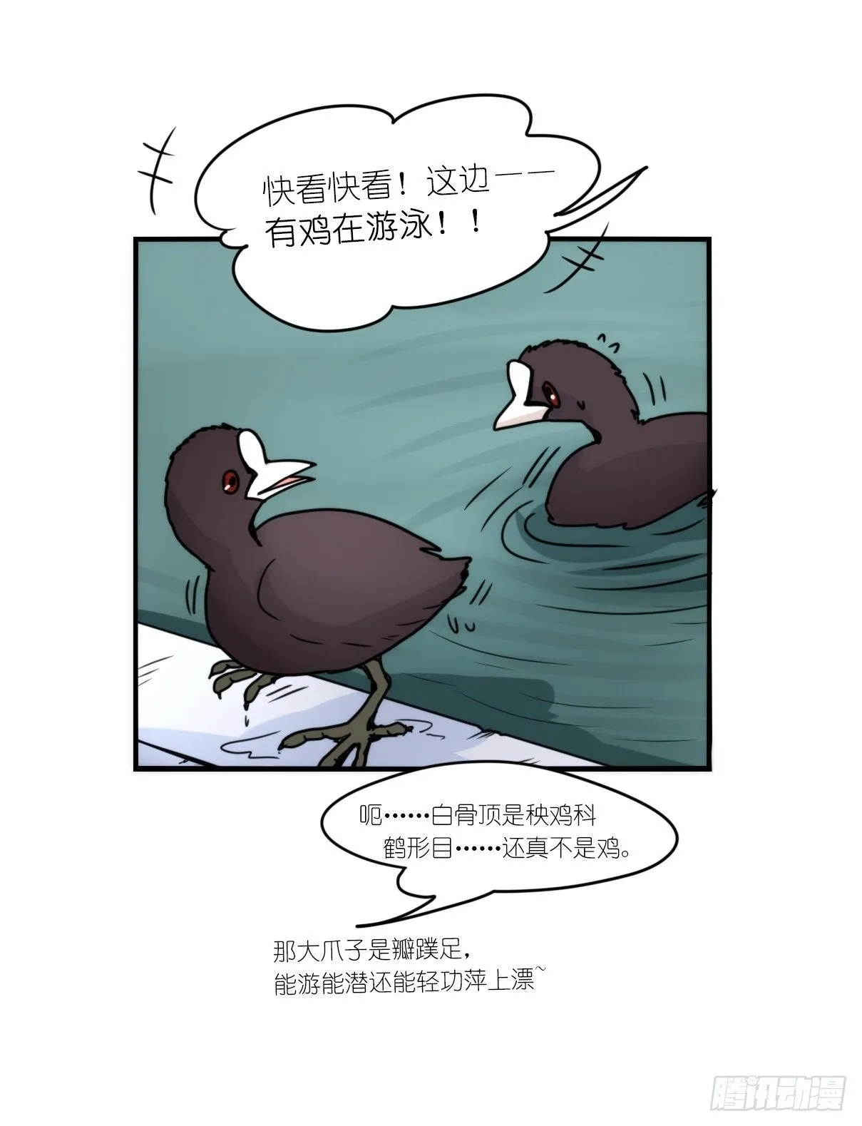 金华至江西望仙谷旅游攻略漫画,事业篇II：上吧，二呆！025图