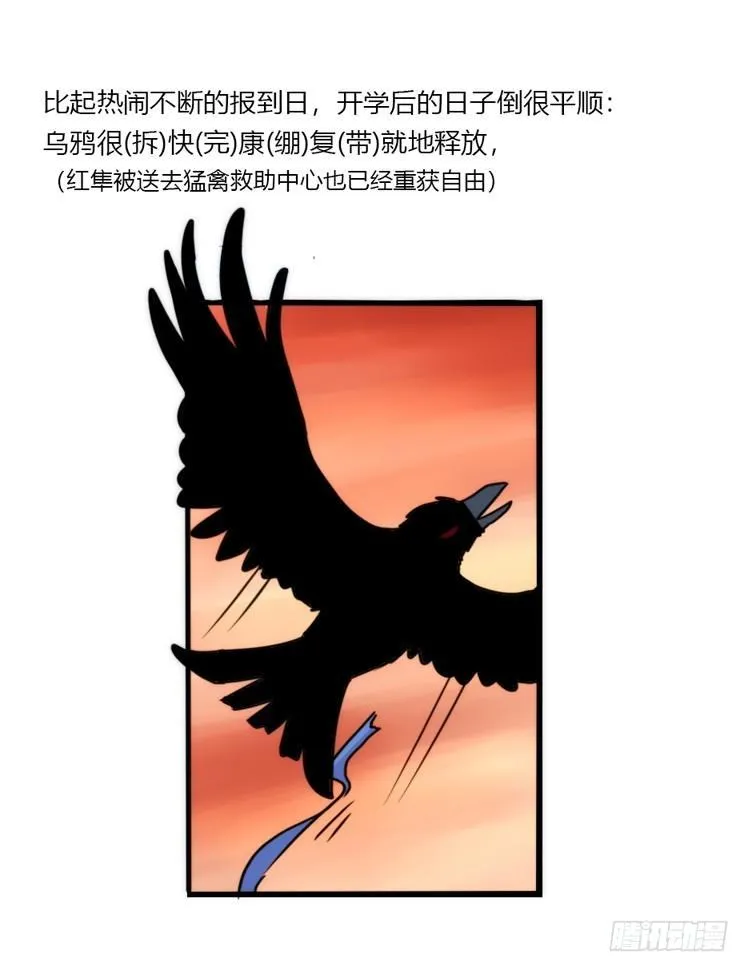 金华至江西望仙谷旅游攻略漫画,动协在行动02：鹅也有猫了！2图