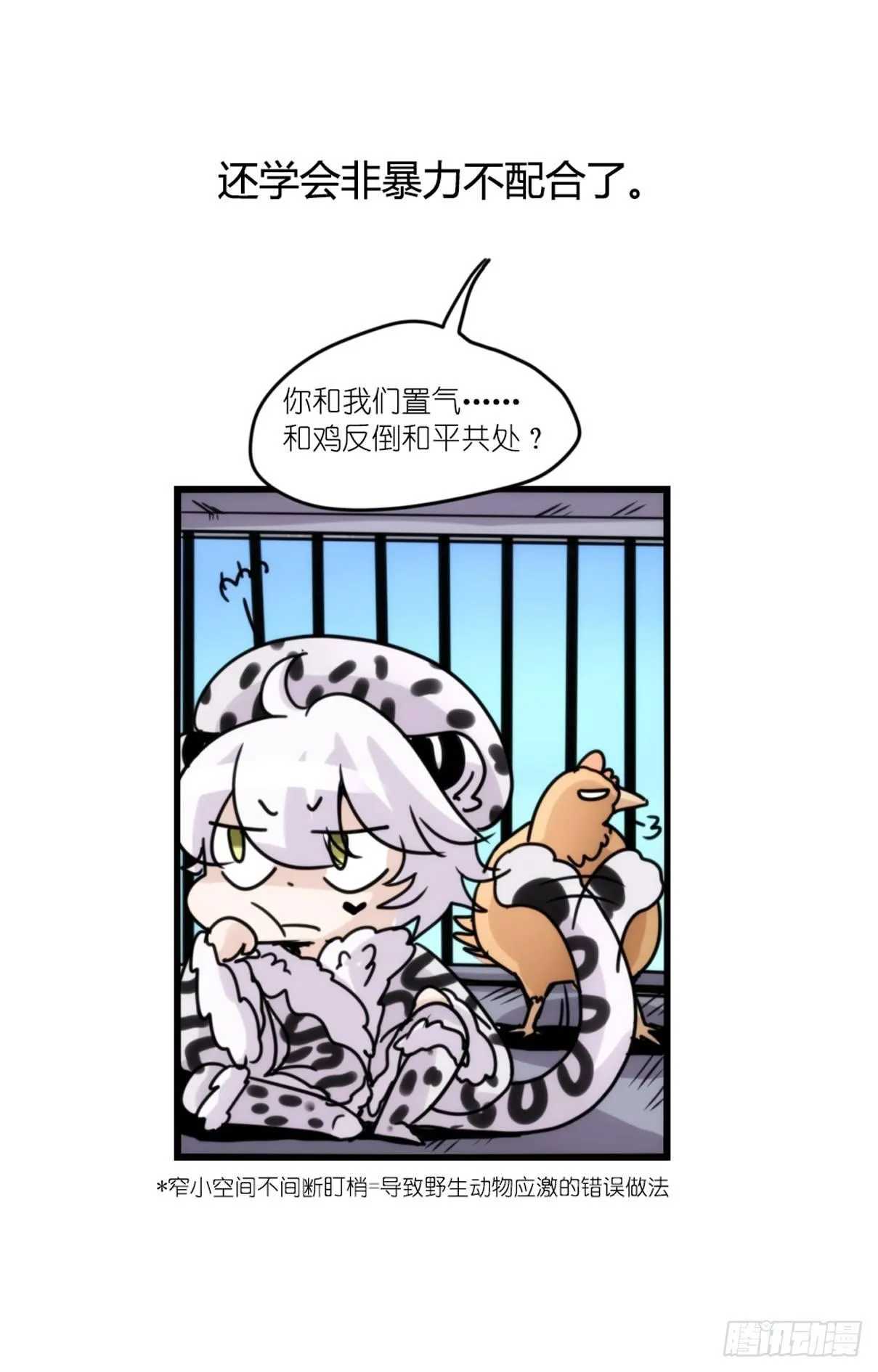 金华至江西望仙谷旅游攻略漫画,事业篇12：雪豹成为偶像！065图