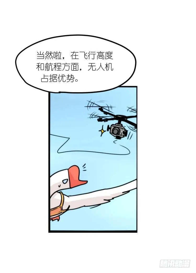 金华至江西望仙谷旅游攻略漫画,使命篇14：科学观鸟法5图