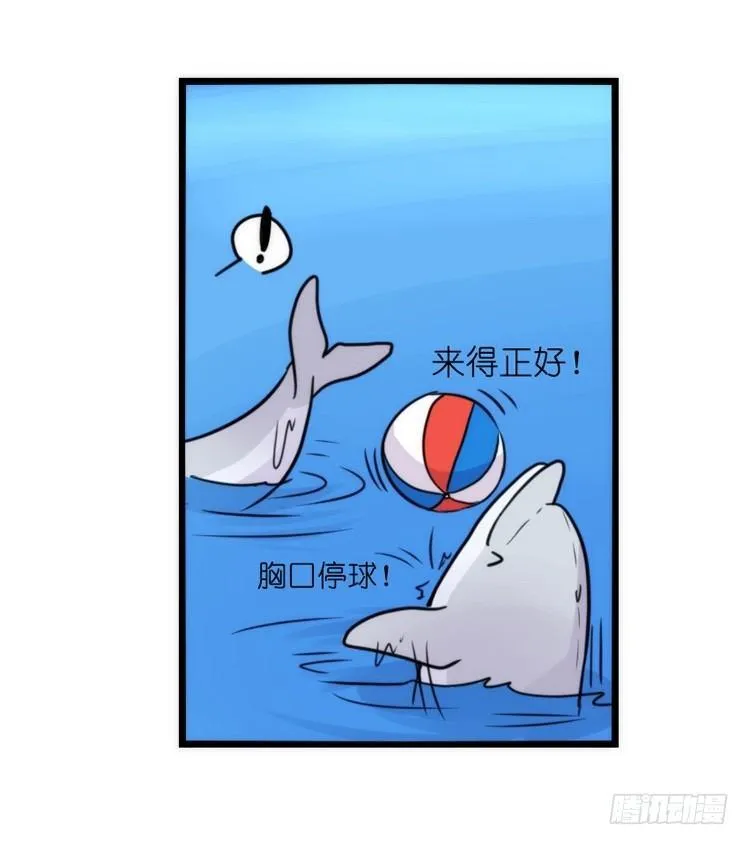 金华至江西望仙谷旅游攻略漫画,海洋精灵：豚会玩3图