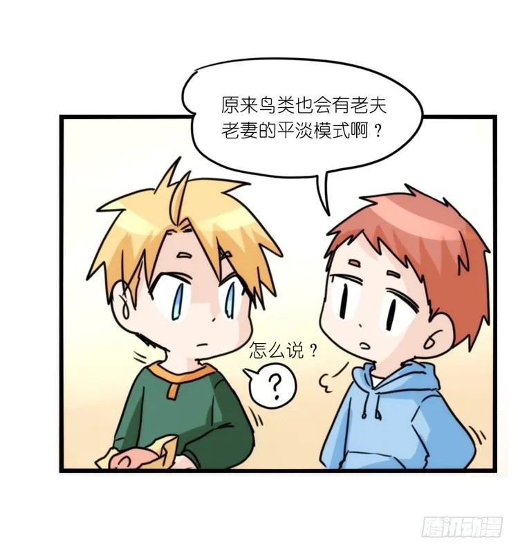 金华至江西望仙谷旅游攻略漫画,圣诞番外：特别礼物3图