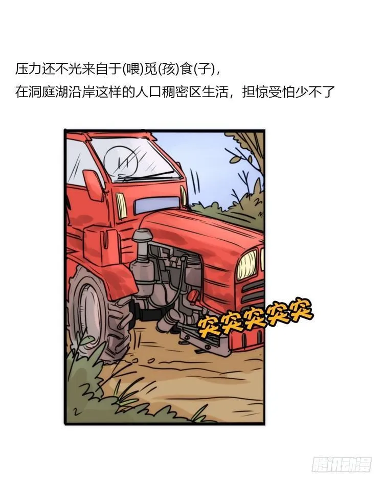 金华至江西望仙谷旅游攻略漫画,使命篇15：小确幸3图