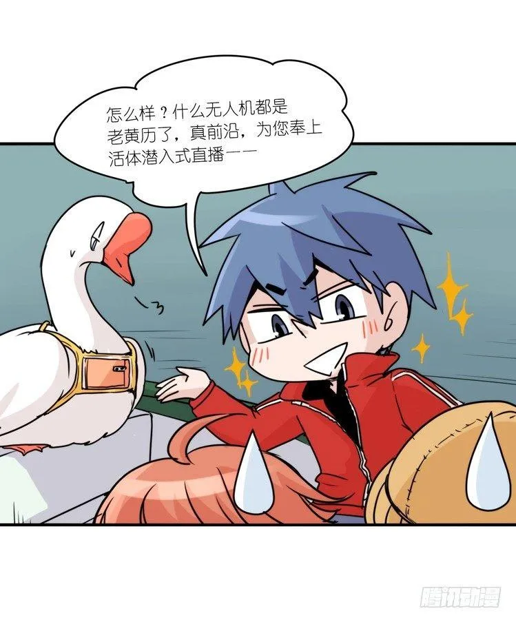 金华至江西望仙谷旅游攻略漫画,使命篇14：科学观鸟法2图