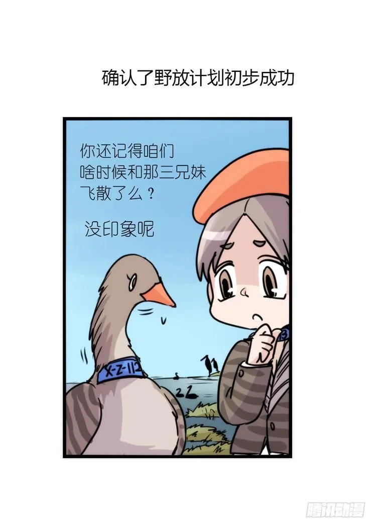 金华至江西望仙谷旅游攻略漫画,使命篇13：新手专属幸运光环3图