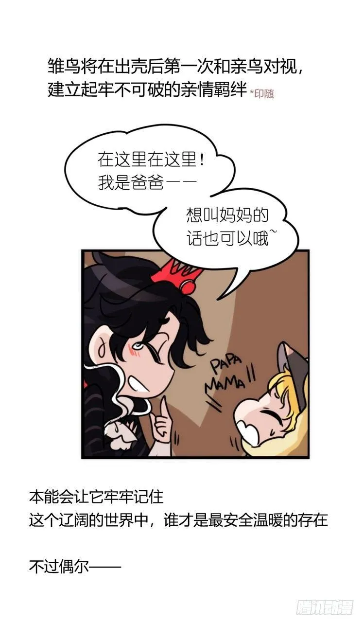 金华至江西望仙谷旅游攻略漫画,动协在行动21：毛绒绒战争3图