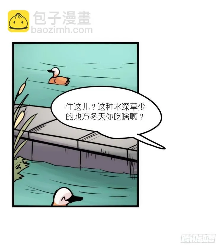 金华至江西望仙谷旅游攻略漫画,使命篇05：鸟眼看人奇4图