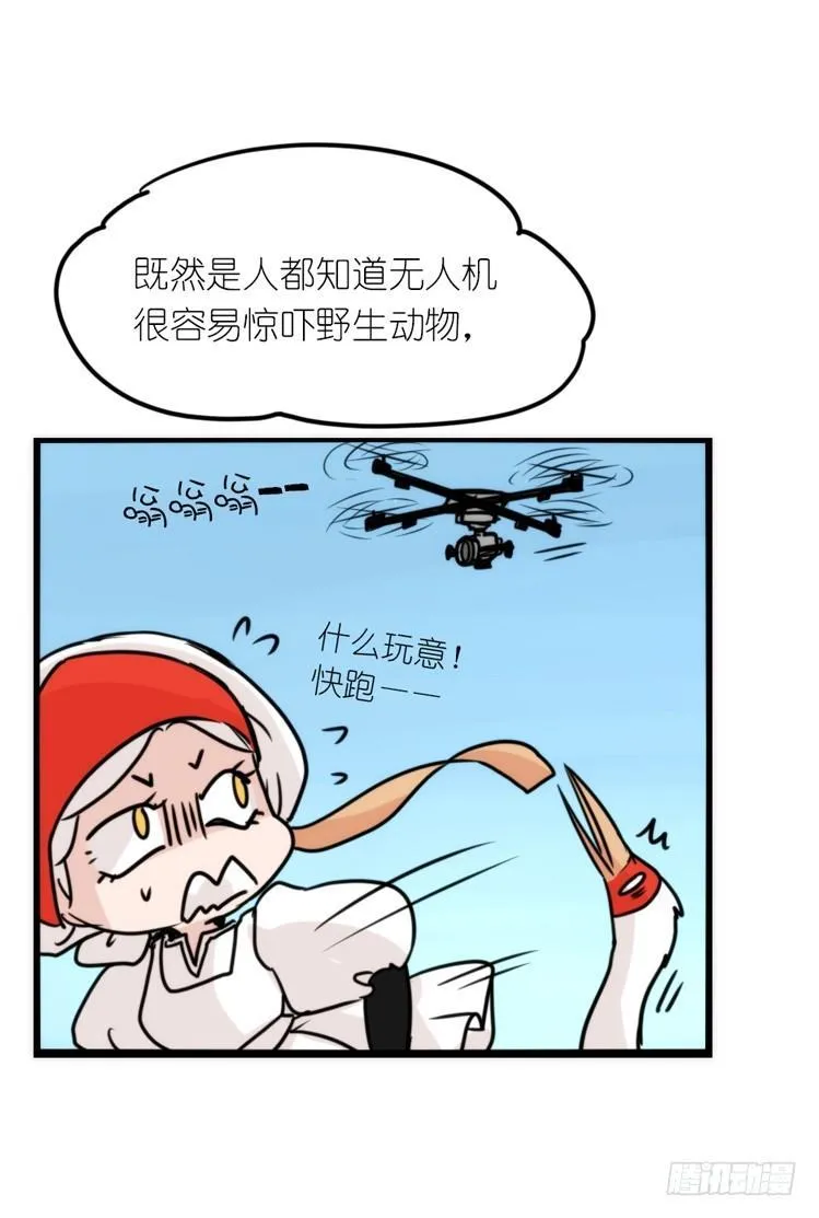 金华至江西望仙谷旅游攻略漫画,使命篇14：科学观鸟法3图