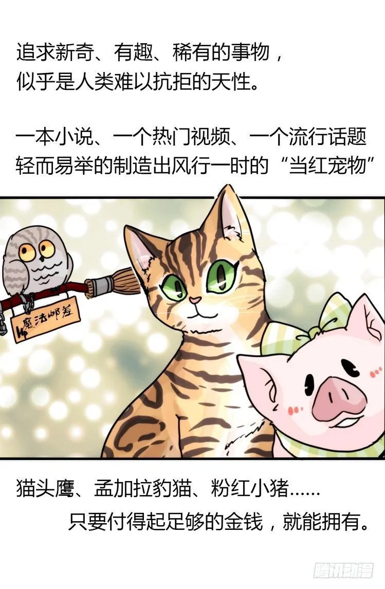 金华至江西望仙谷旅游攻略漫画,飞吧小少爷：网红风波·下2图