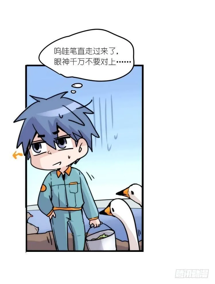 金华至江西望仙谷旅游攻略漫画,动协在行动18：拯救单身鸟2图