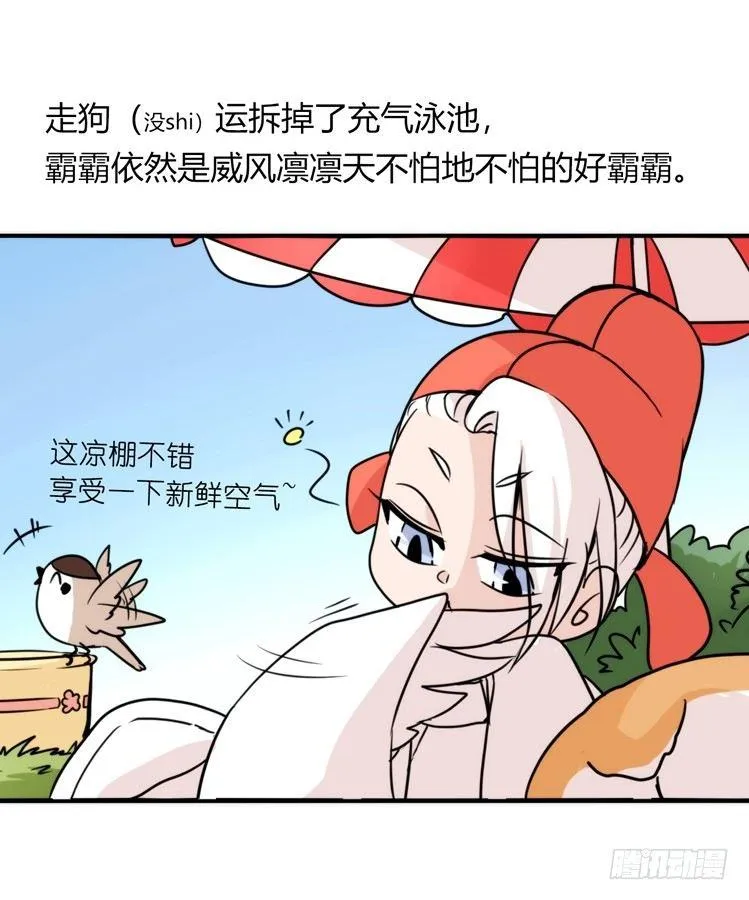 金华至江西望仙谷旅游攻略漫画,家有鹅霸：带着大鹅上学去~2图