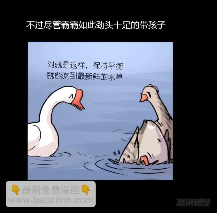 金华至江西望仙谷旅游攻略漫画,使命篇02：不同的选择5图