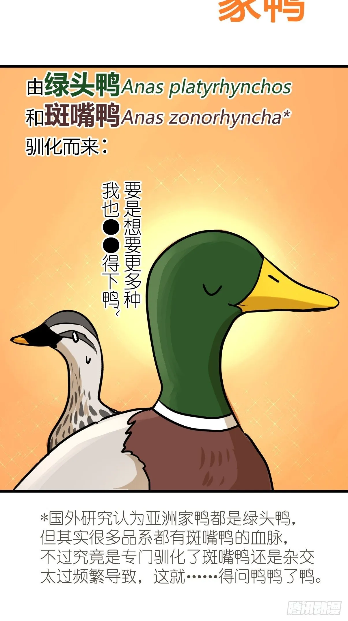 金华至江西望仙谷旅游攻略漫画,事业篇II：鸭鸭的奇妙冒险·上2图