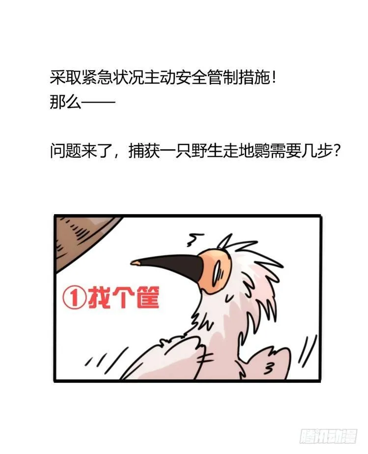 金华至江西望仙谷旅游攻略漫画,使命篇28：重振绯羽-104图