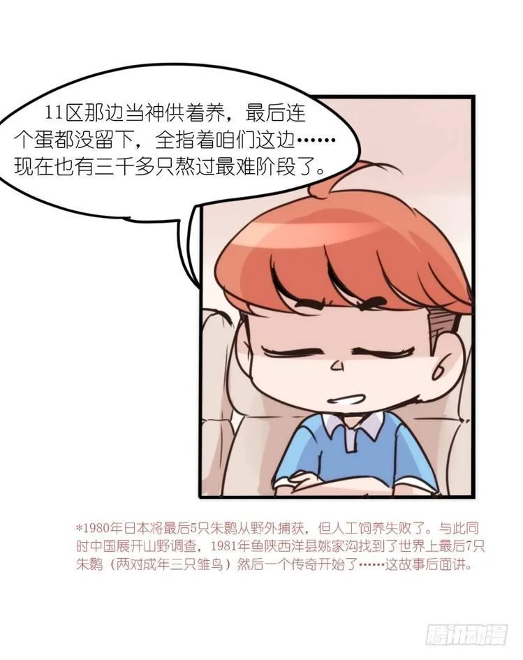 金华至江西望仙谷旅游攻略漫画,使命篇12：现在进行时5图