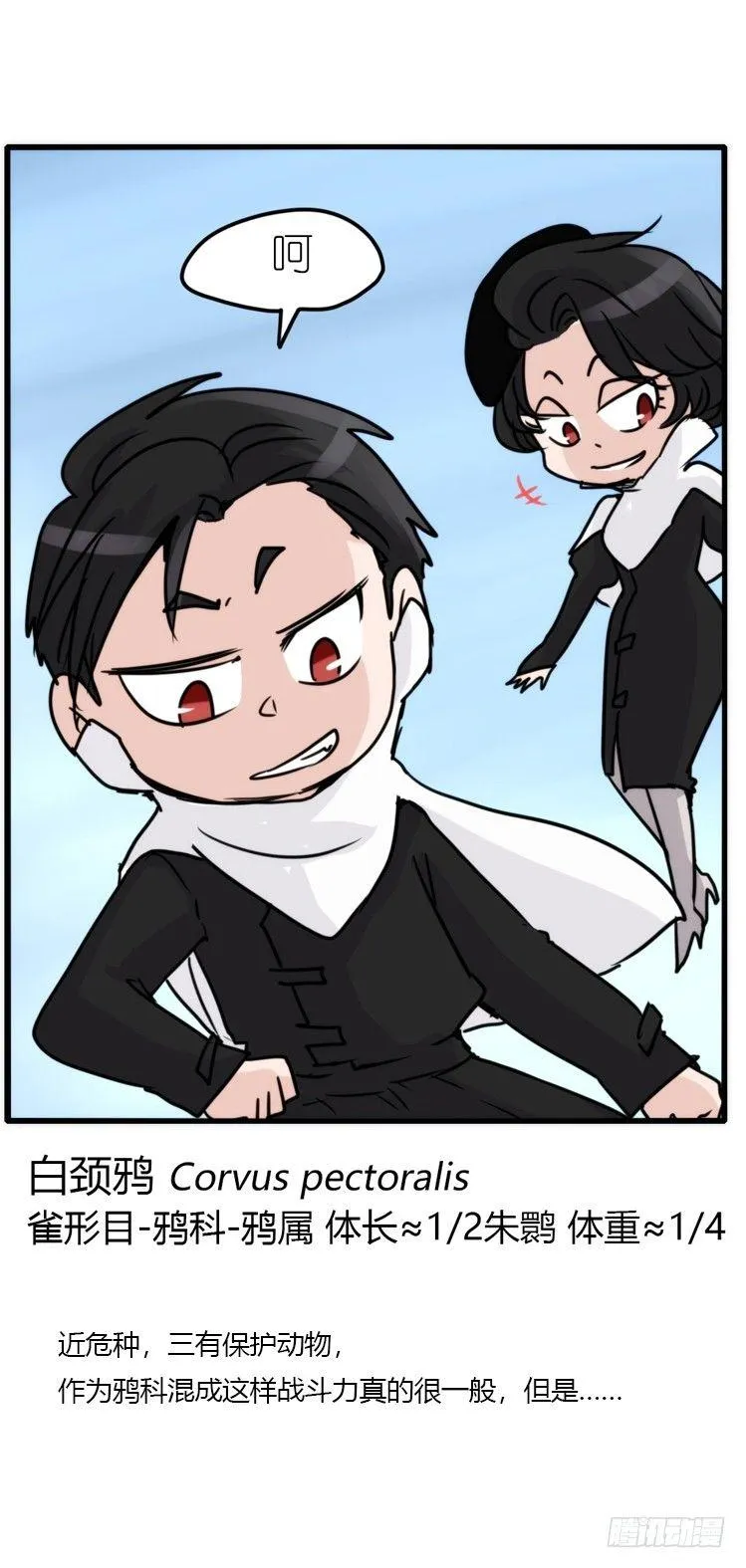 金华至江西望仙谷旅游攻略漫画,使命篇20：重振绯羽②4图