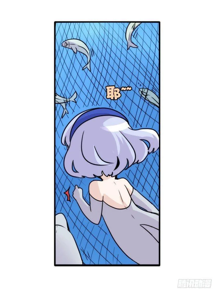 金华至江西望仙谷旅游攻略漫画,海中精灵：海豚直播间3图