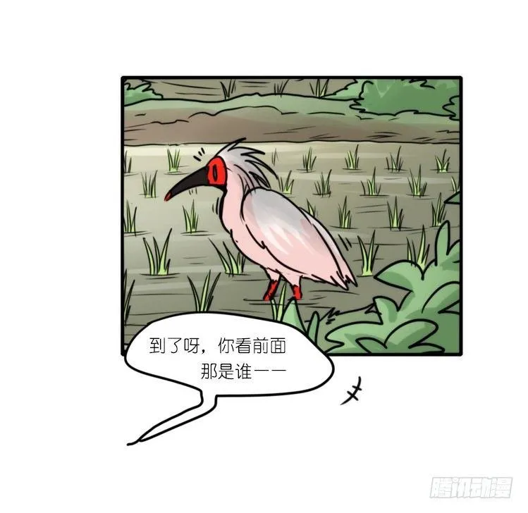 金华至江西望仙谷旅游攻略漫画,使命篇27-重振绯羽⑨3图