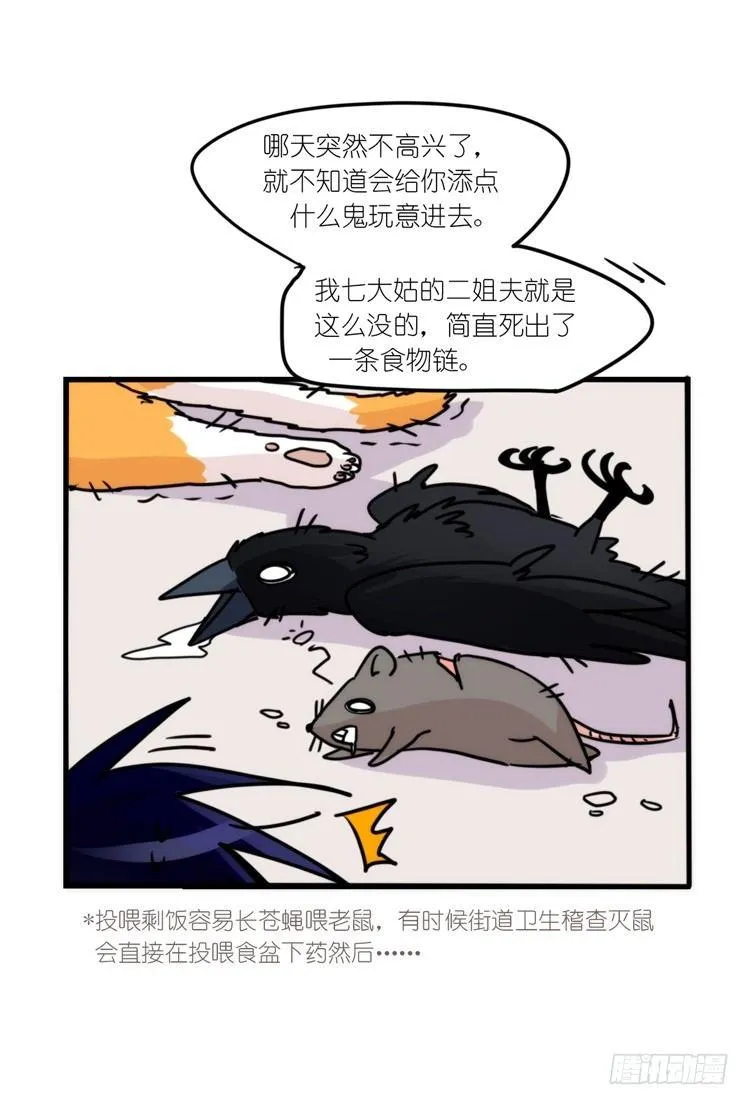 金华至江西望仙谷旅游攻略漫画,幕间剧场03-生存攻略·中3图