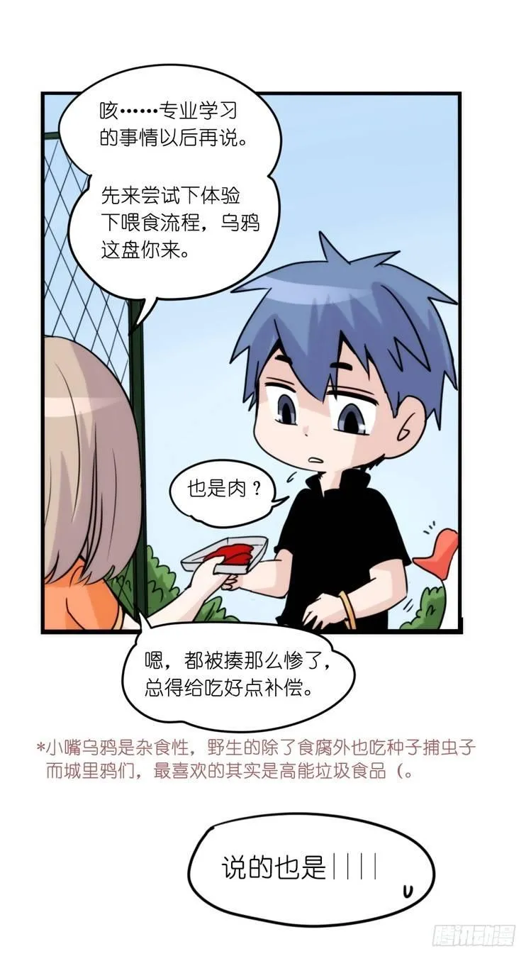 金华至江西望仙谷旅游攻略漫画,家有鹅霸：魔高一尺道高一丈2图