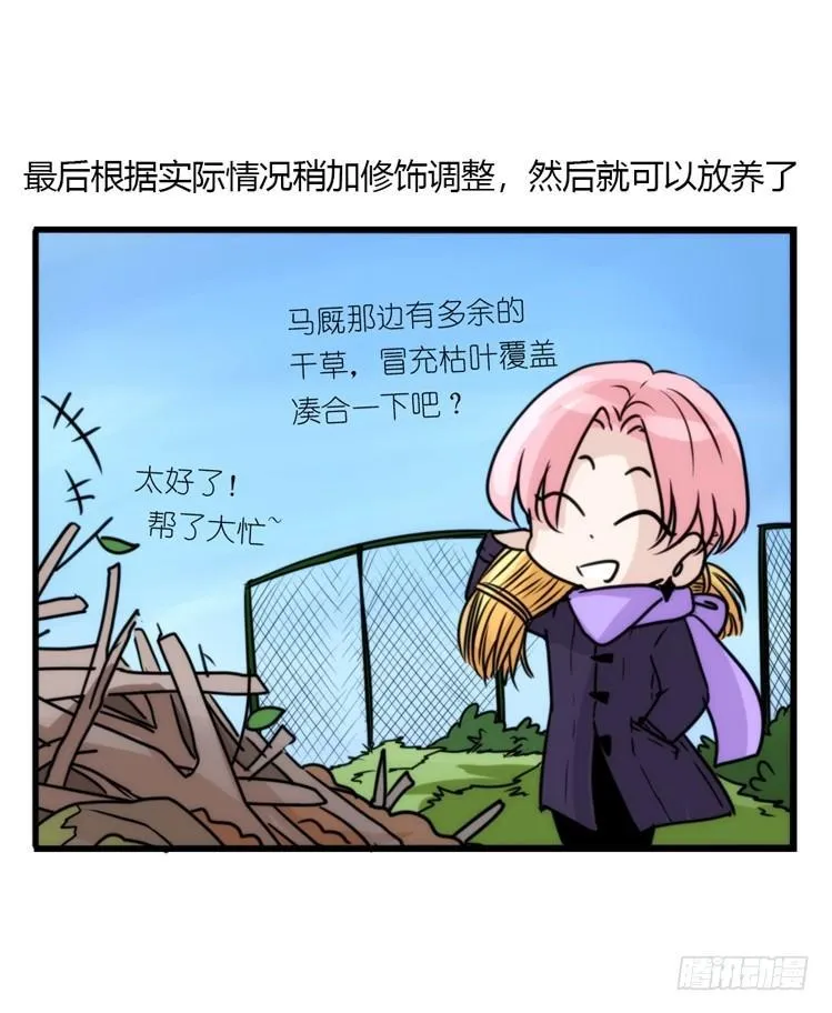 金华至江西望仙谷旅游攻略漫画,动协在行动13：变化4图