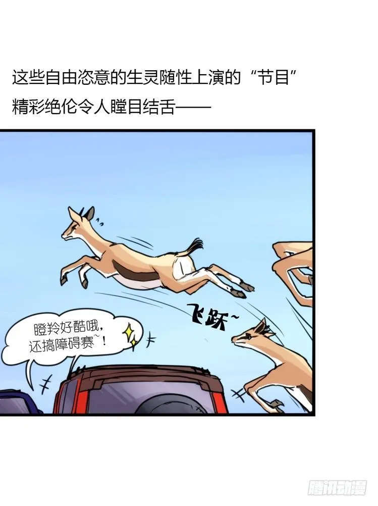 金华至江西望仙谷旅游攻略漫画,分离+旅行=成长是主旋律4图