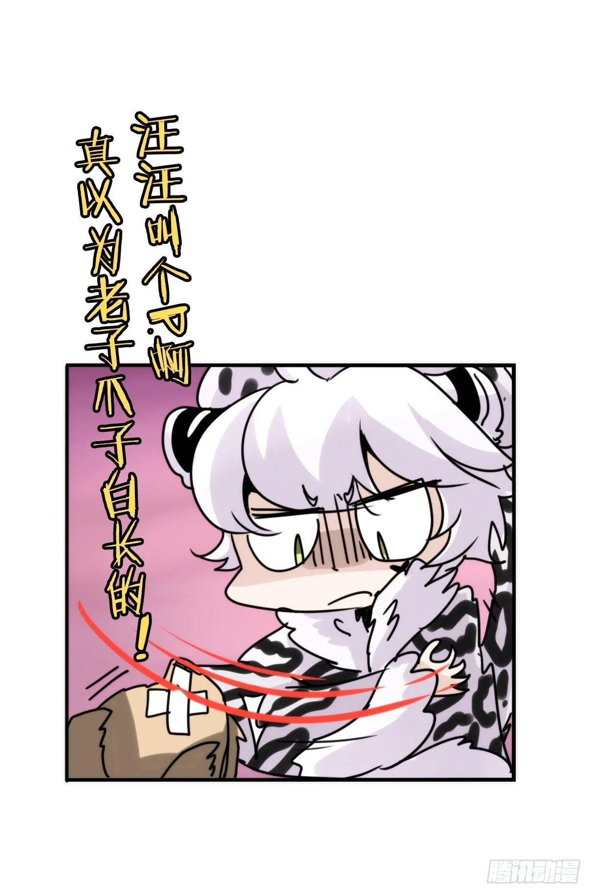 金华至江西望仙谷旅游攻略漫画,事业篇11：雪豹成为偶像！-52图