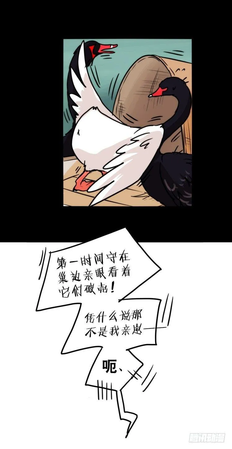 金华至江西望仙谷旅游攻略漫画,动协在行动22：霸二代是怎样炼成4图
