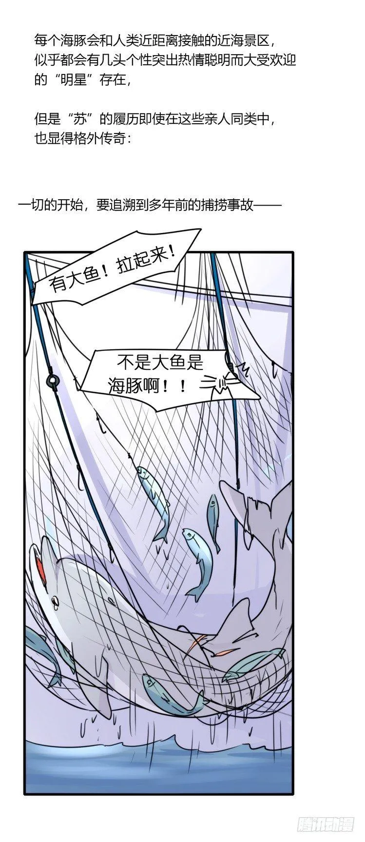 金华至江西望仙谷旅游攻略漫画,海洋精灵：苏的诞生4图