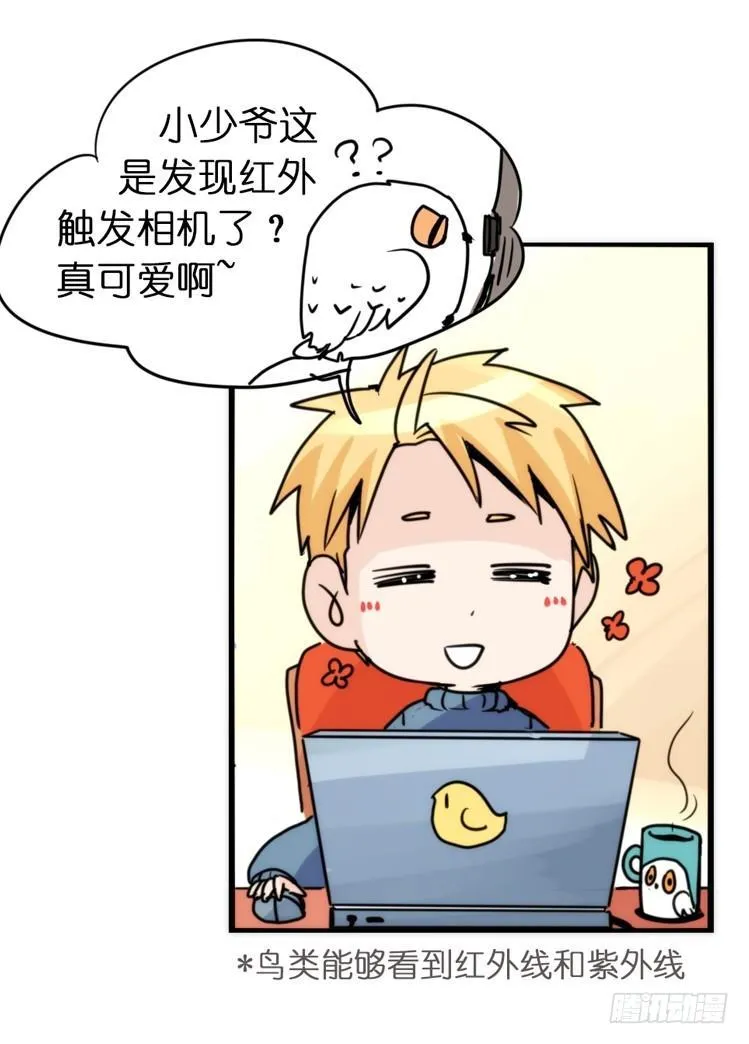 金华至江西望仙谷旅游攻略漫画,飞吧小少爷：不速之客？3图