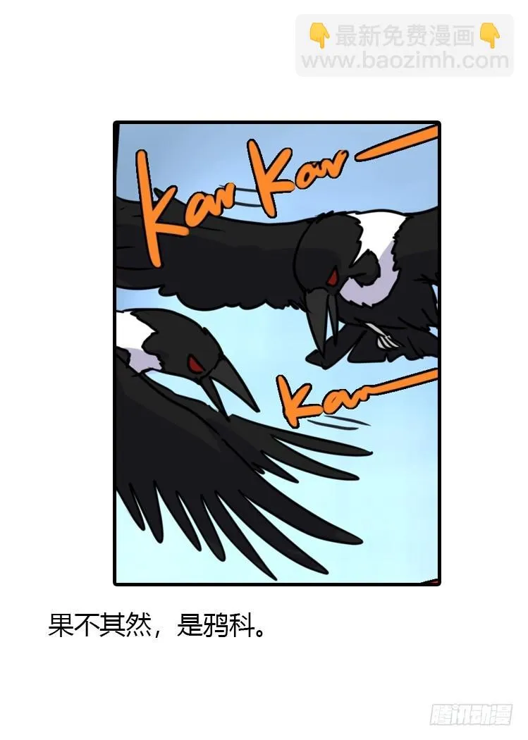 金华至江西望仙谷旅游攻略漫画,使命篇20：重振绯羽②3图