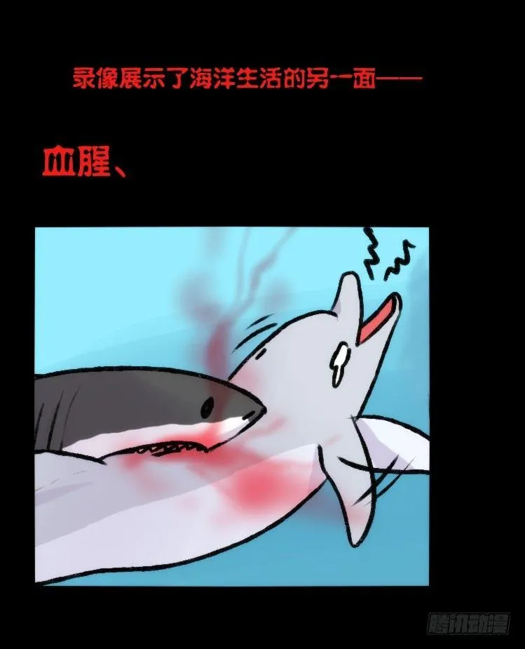 金华至江西望仙谷旅游攻略漫画,海洋精灵：大白鲨-反击战-上2图