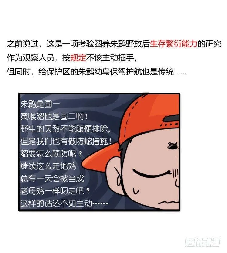 金华至江西望仙谷旅游攻略漫画,使命篇28：重振绯羽-102图